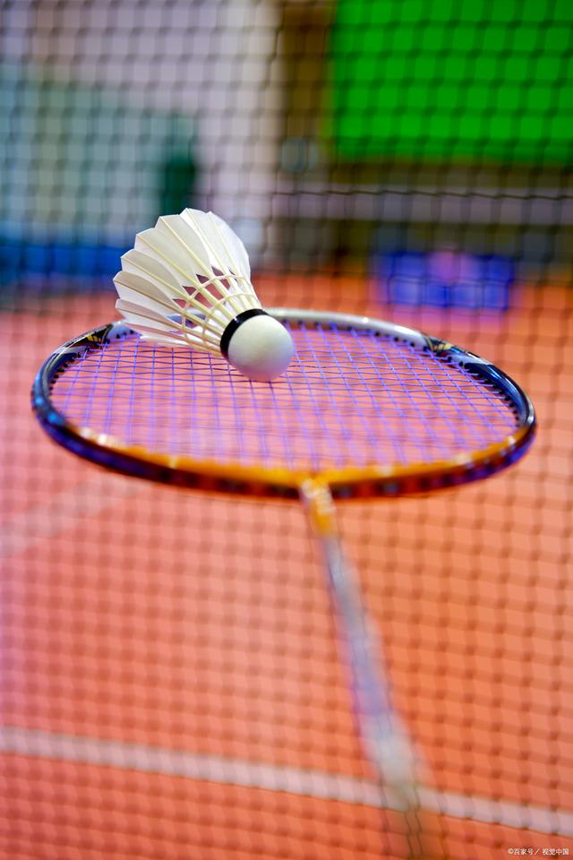 运会柔术项 运会柔术项